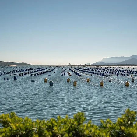 Pretty Marina Di Olbia